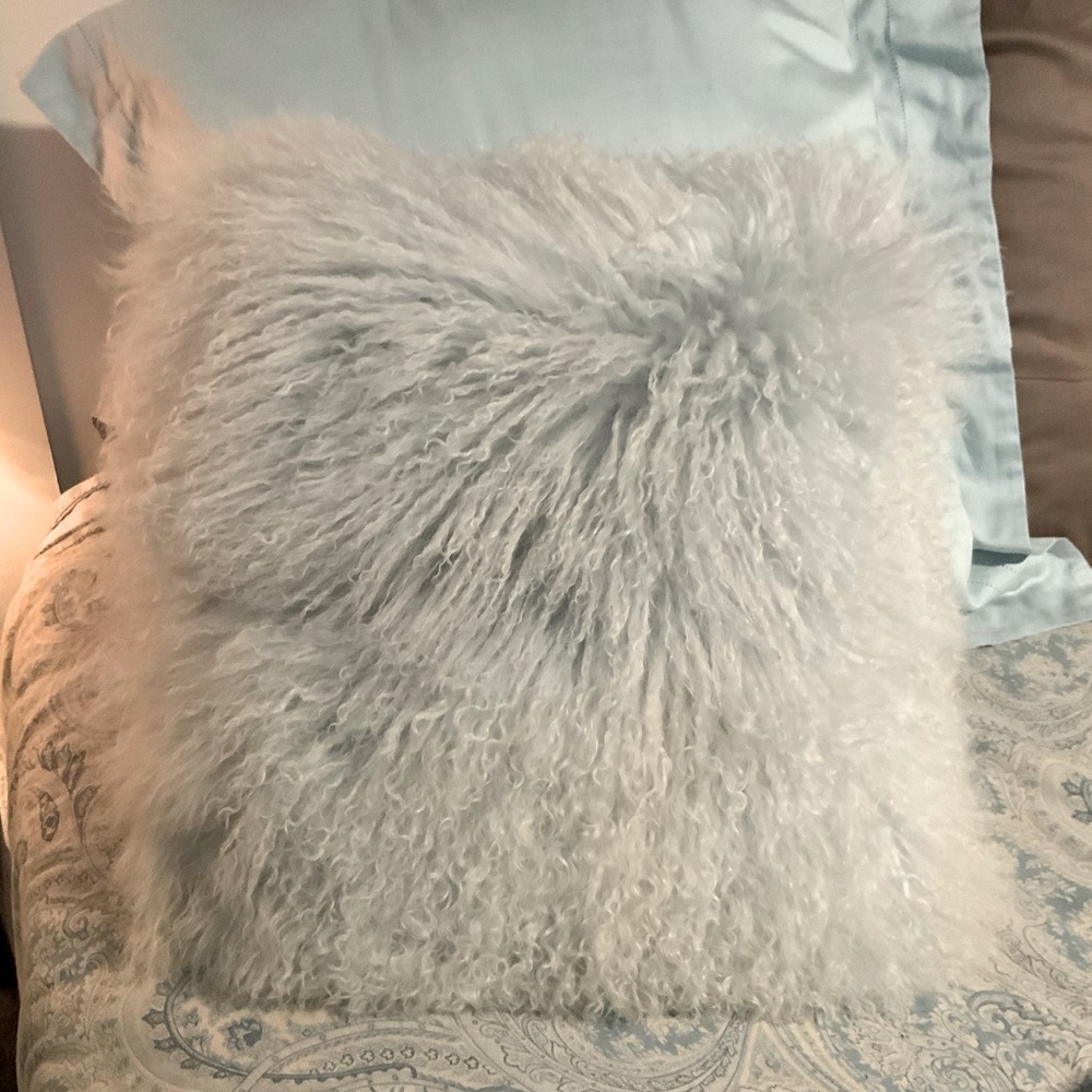 Anthropologie Beautiful Pale Blue Ostrich Feathers Pillow Home Decor